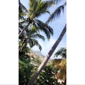 Meet your Posher, Nayeli